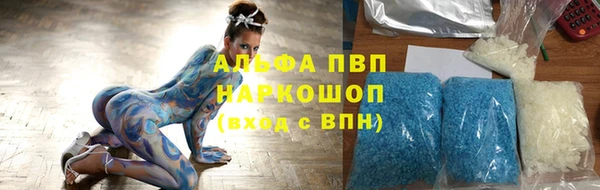 прущие грибы Мегион