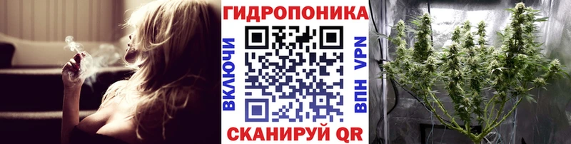 купить наркотики сайты  Буй  ссылка на мегу ССЫЛКА  Шишки марихуана сатива 